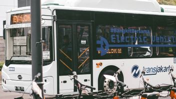 Sopir Bus Transjakarta yang Tabrak Lansia Hingga Tewas Langsung Dinonaktifkan