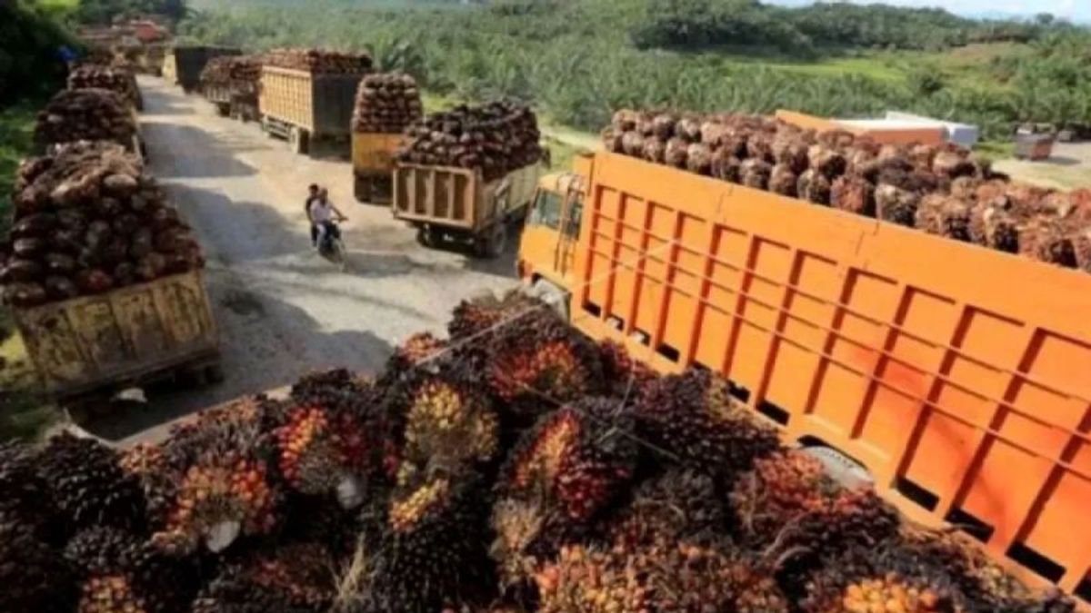 BRIN: Palm Oil Is Most Possible As A Substitute For Fossil Fuel