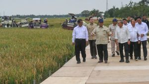 Prabowo Yakin Indonesia Bisa Swasembada Pangan Tiap Tahun