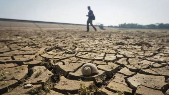 Bantul Masih Siaga Darurat Kekeringan Meski November Masuk Musim Hujan