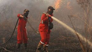GeRAK Aceh Barat Desak Penegakan Hukum Tegas Terkait Karhutla yang Terus Berulang