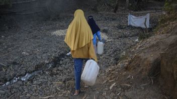 Waspada! Musim Kemarau di Bengkulu Diprediksi Terjadi Awal Mei