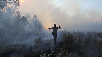 一天之内，廖内森林和土地火灾迹象的热点急剧增加