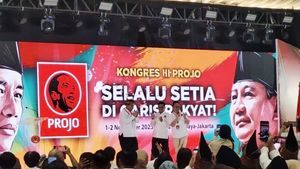 Projo, Sebuah Contoh Nyata Kesetiaan Semu dalam Politik