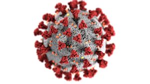 The Case Of COVID-19 Variant Nimbus Increases In 22 Countries, What Are The Symptoms?
