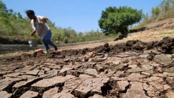 Dilanda Kekeringan Ekstrem, Kota di Meksiko Ini Batasi Akses Air Cuma Enam Jam Sehari 