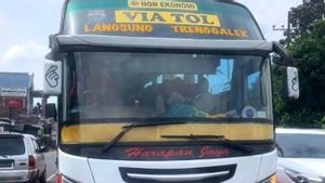 Polisi akhirnya Tindak Sopir Bus Harapan Jaya yang Nekat Lawan Arah di Tengah Kemacetan