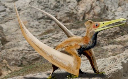 Setelah Lama Jadi Misteri, Ini Asal-Usul Dinosaurus Terbang Pterosaurus