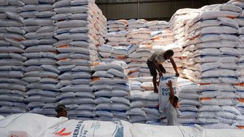 Stok Beras Bulog Tembus 3,6 Juta Ton di Awal Mei 2025