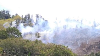 حريق يحرق 25 هكتارا من منطقة الغابات المحمية في وسط آتشيه، وأسباب لا تزال قيد التحقيق