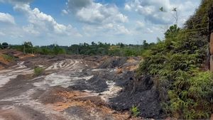 OIKN Perketat Pengawasan Tahura Bukit Soeharto, Aktivitas Ilegal Mulai Disikat