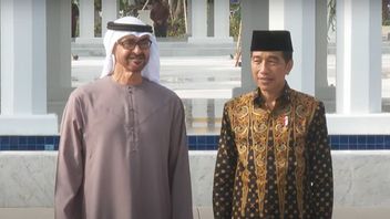 Pakai Peci dan Bantik, Jokowi Sambut Kedatangan Presiden UAE di Jawa Tengah
