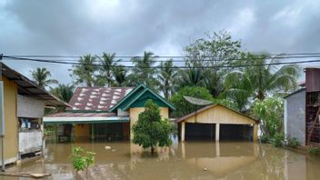 Diguyur Hujan Sejak Rabu Kemarin, Ratusan Rumah Warga di Bengkulu Terandam Banjir dengan Ketinggian Hampir 2 Meter