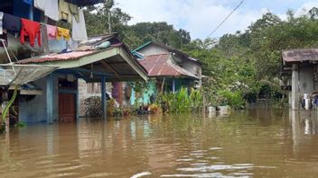 5 Villages Rendam Flood In Sekadau West Kalimantan, Tinggi Air Sepinggul Orang Adult