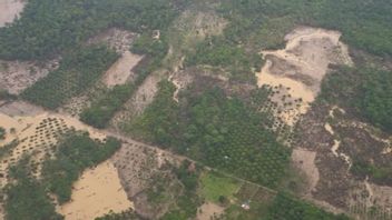 KLH在Aceh Sungai Hulu发现非法棕榈油和矿产的迹象
