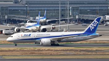 日本航空公司全日空从明年开始驾驶动漫主题的