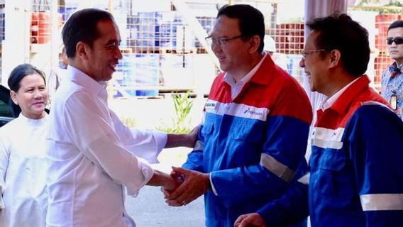 Anggota DPR dari NasDem: Harusnya Ahok Selesaikan Masalah Pertamina di Internal