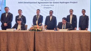 PLN EPI Gandeng Sembcorp Builds The Largest Green Hydrogen Project In Southeast Asia