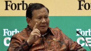 Prabowo: Penerima MBG Capai 35,4 Juta Orang