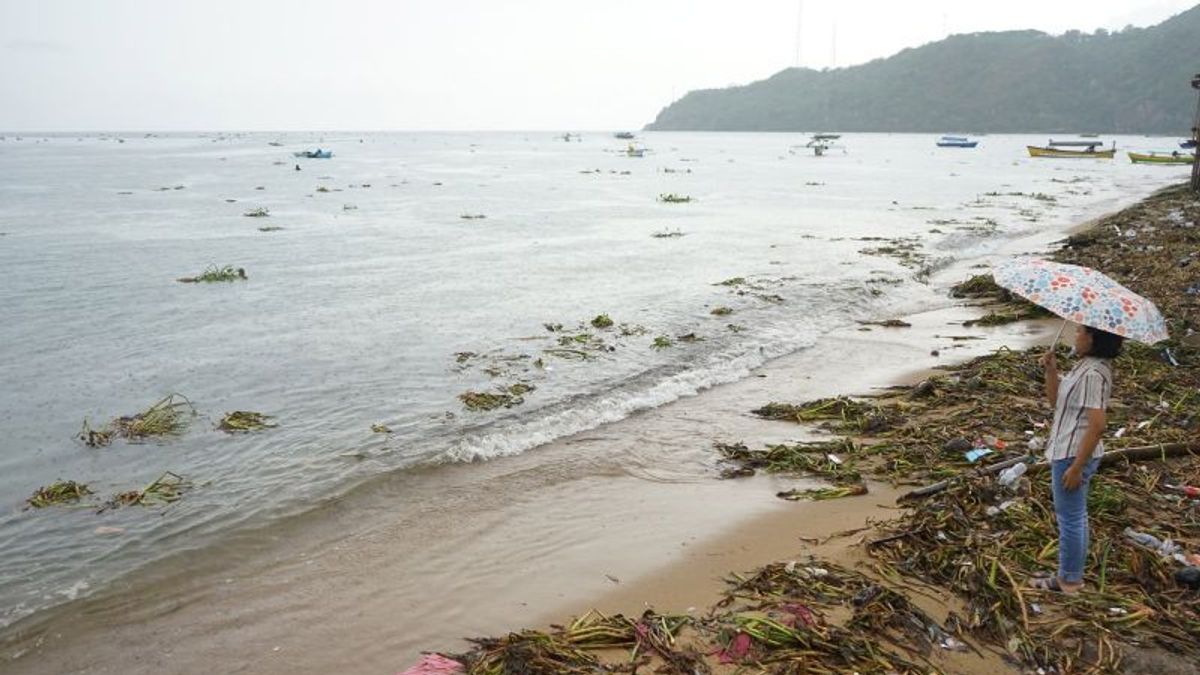 Destinasi Wisata Pantai Indah di Gorontalo Kotor Dipenuhi Gulma Eceng Gondok