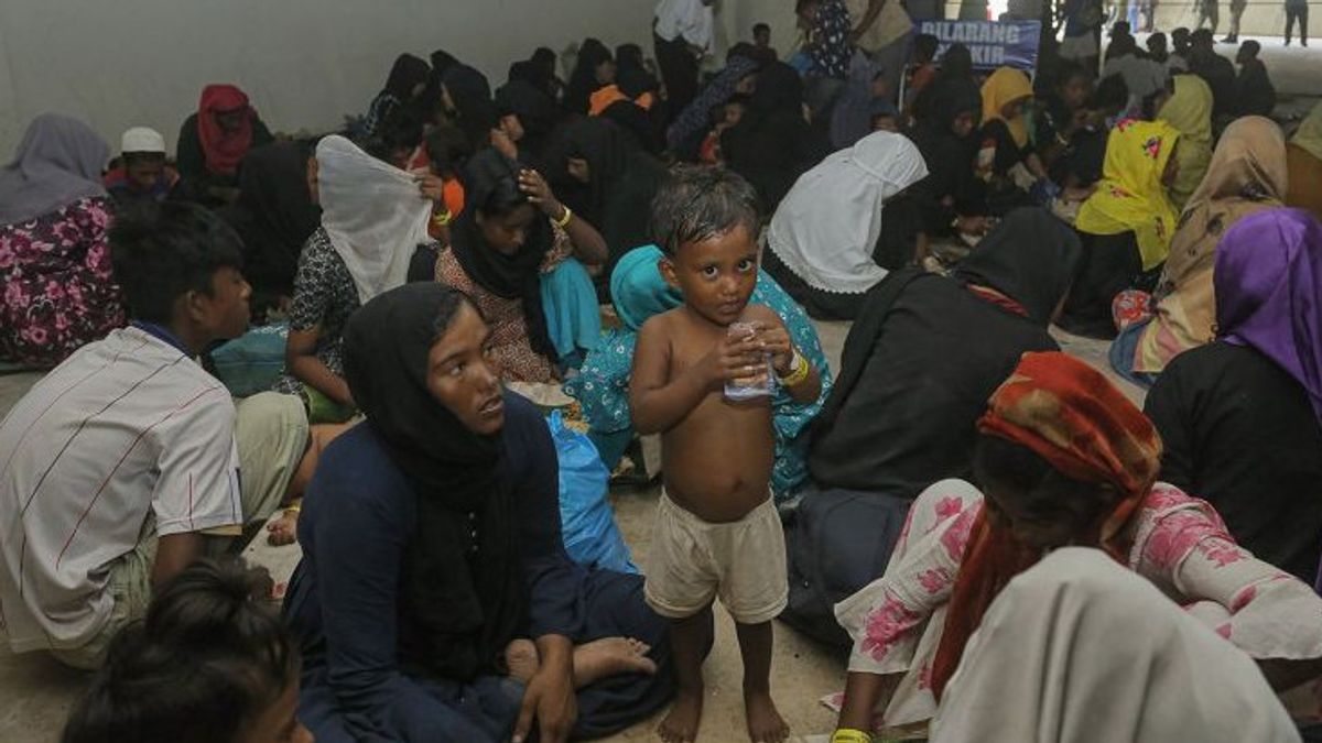 UNHCR: Penampungan Rohingya Diupayakan Terpusat Satu Lokasi di Aceh