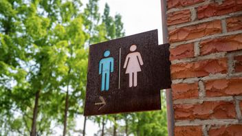 DKI Tegaskan Tidak Ada Toilet Gender Netral di Sekolah, Tapi Sekolah Internasional Butuh Koordinasi untuk Pengecekan