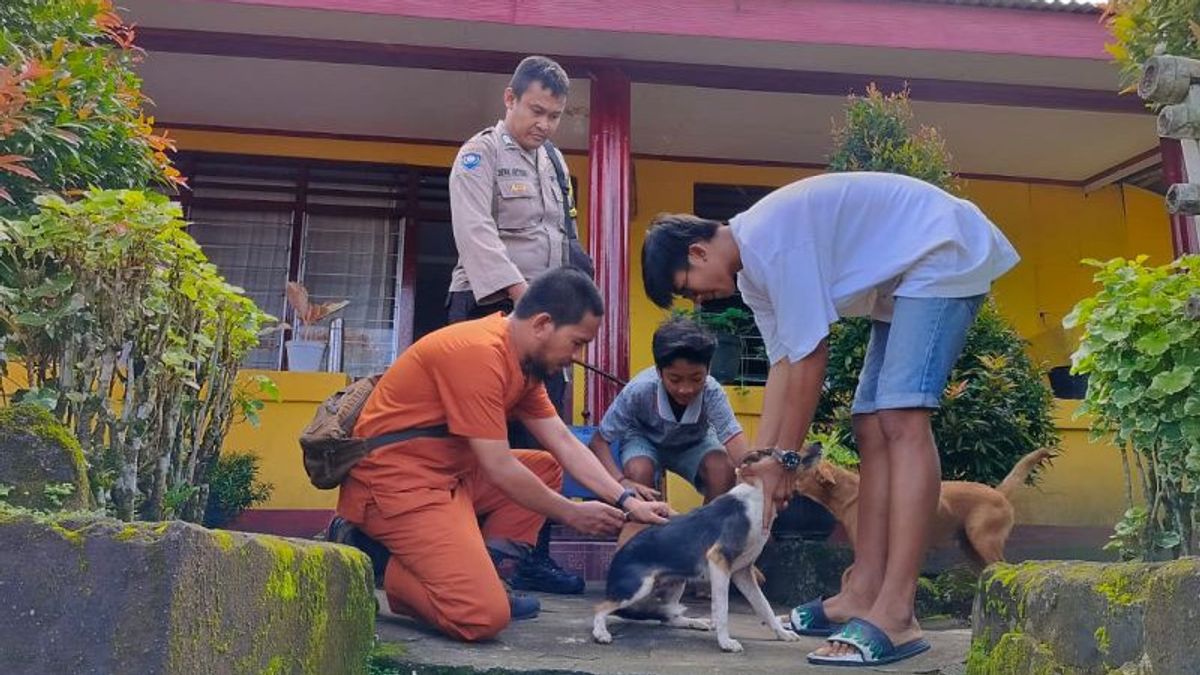 DPKP Ambon Vaksin 300 Ekor Anjing Cegah Rabies 