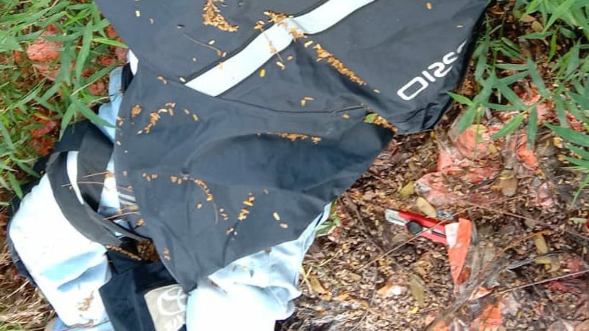 Korban Pembunuhan Ditemukan di Pinggir Tol Tangerang - Merak, Wajah Rusak, Samping Jasad Ada Pisau Cutter