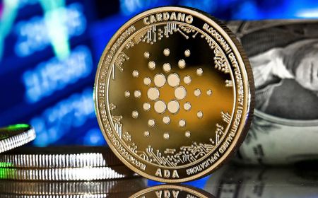 Cardano Makin Bersinar di Kuartal Ketiga, Ini Buktinya!