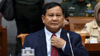 DPR Bakal Minta Prabowo Beberkan Rinci Anggaran Pembelian 42 Pesawat Tempur