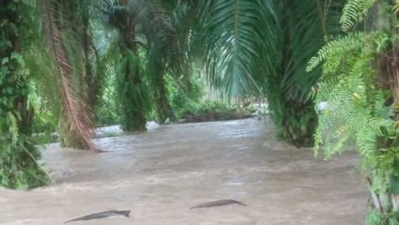 Floods Inundate 7 Districts In North Aceh