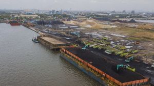 INDEF: Pemerintah Perlu Dorong Kehadiran Swasta dalam Pengelolaan Pelabuhan di Indonesia