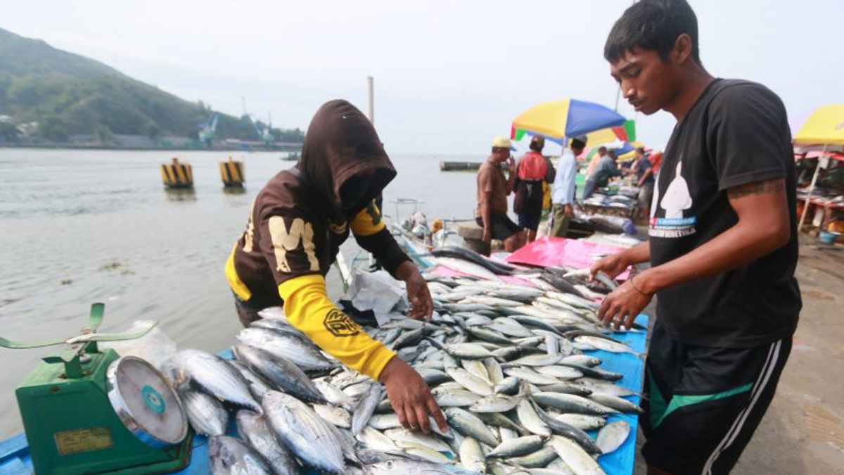 Produk Olahan Ikan di Sumatera Utara Mulai Membaik
