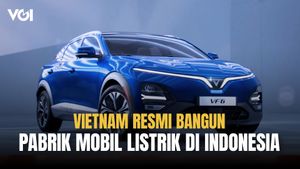 Lahan di Subang Sudah Dibeli, Menteri Rosan: Vietnam Sudah Siap Bangun Pabrik Mobil Listrik