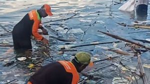 Jakarta Garbage Attacks Tidung Island, 250 Tons Transported From The Beach