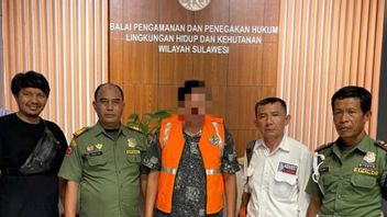 Gakkum KLHK Sulawesi Sets Suspects For Illegal Land Donatures