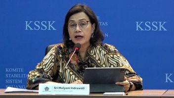 Pengamat Ini Beberkan Sejumlah Dampak Bila Sri Mulyani Mundur sebagai Menkeu