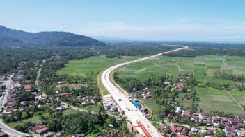 A Total Of 450,000 Plants Greenen The Indonesian Toll Road, Here Are The Details