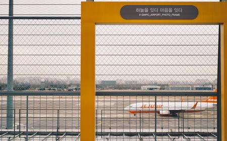 Hampir Semua Korban Tewas Kecelakaan Jeju Air Teridentifikasi