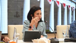 Dubes Rizal Wakili Menlu Sugiono di Antalya Diplomacy Forum