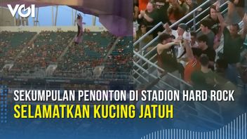 VIDEO: Aksi Penyelamatan Kucing yang Tergantung di Atap Stadion Hard Rock