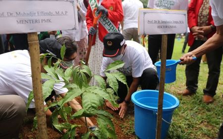 Menko PMK Gencarkan Penanaman 10 Juta Pohon untuk Mitigasi Bencana