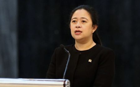 Puan Maharani Soal Dugaan Polisi Tak Netral pada Pilkada 2024: Jika Ada Bukti, Laporkan!  