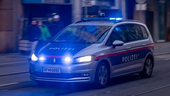 5名警察在日内瓦与加沙分遣队船的支持者发生冲突