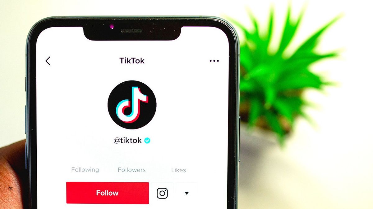 TikTok's Head Of Content Strategy Reportedly Resigns From The Company