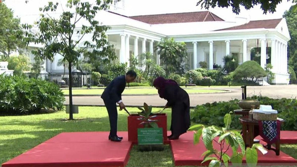 Le président de Tanzanie Jokowi Ajak plantera un arbre de paix au palais de Bogor après une discussion de 4 yeux