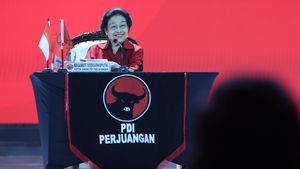 Megawati Still Counting On Political Attitudes: Not Yet Minute I'm Talking