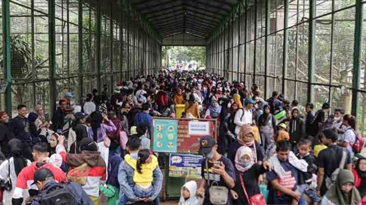 During 3-Day Chinese New Year Holiday, More Than 102 Thousand People Came To Ragunan Wildlife Park