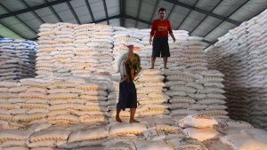 Realization Of Subsidized Fertilizer Distribution Reaches 2.8 Million Tons