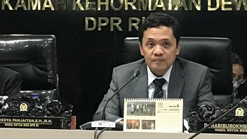 Habiburokhman Gantikan Desmond Jadi Wakil Ketua Komisi III DPR